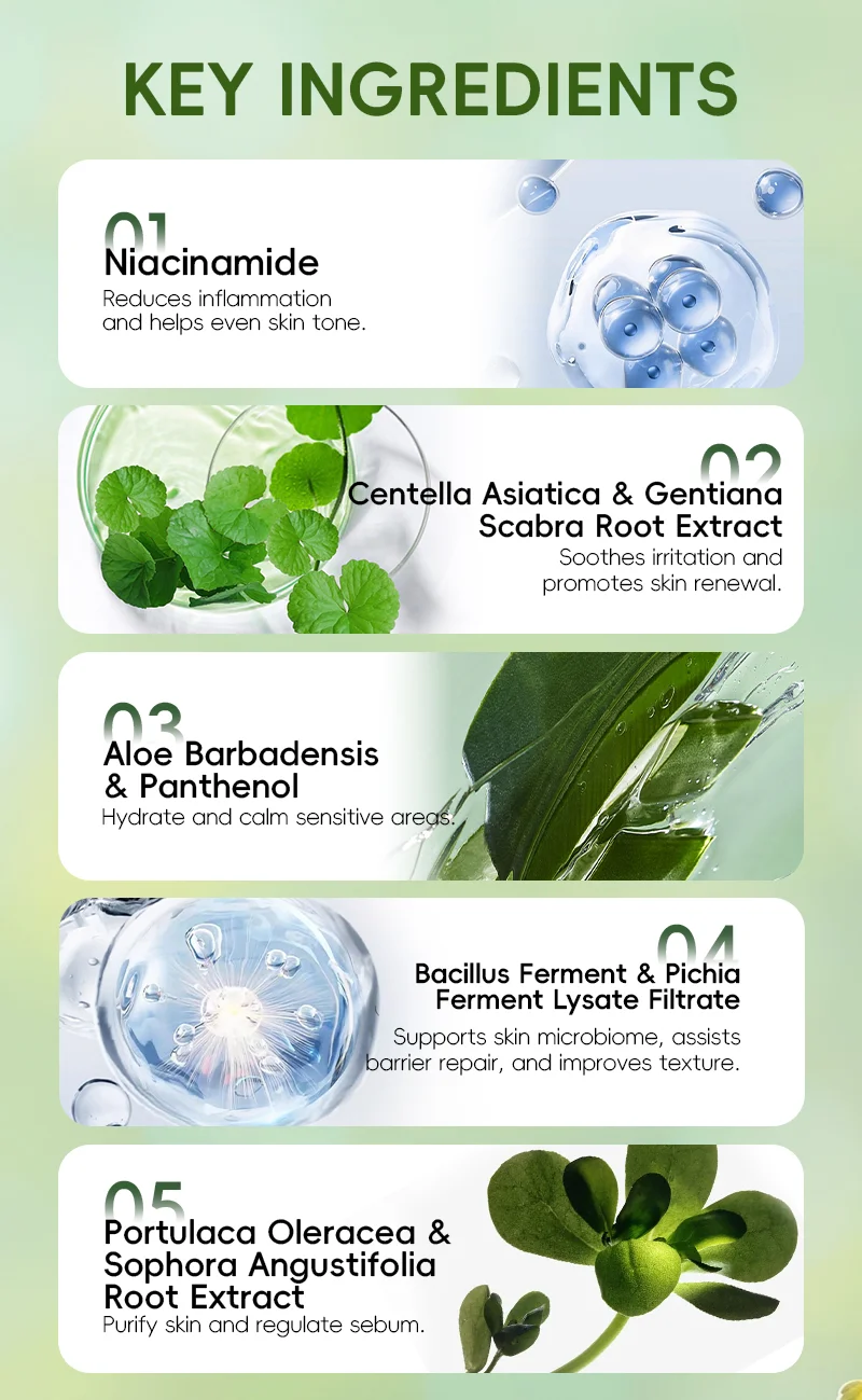 Overview of key skincare ingredients like Niacinamide, Centella Asiatica, Aloe Barbadensis, and others with their benefits.